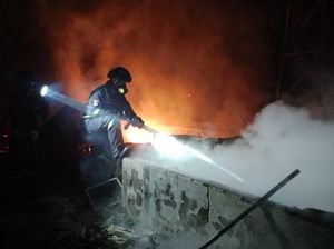 Api Mengamuk, 5 Ribu Ayam Petelur Mati Terpanggang di Kuningan
