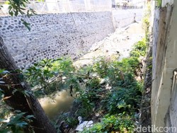 Ada Vila Mepet Sungai di Canggu, DPRD Badung Desak Agar Dibongkar