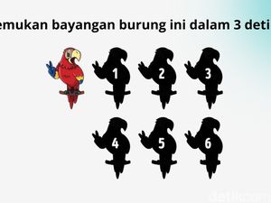 Berhasil Temukan Bayangan Benar Dalam Hitungan Detik? Tandanya Kamu Punya IQ Tinggi Berhasil Temukan Bayangan Benar Dalam Hitungan Detik? Tandanya Kamu Punya IQ Tinggi