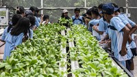 Dolan Kebun, Cara Seru Siswa Semarang Belajar Pertanian Sejak Dini