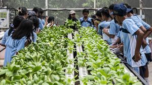 Dolan Kebun, Cara Seru Siswa Semarang Belajar Pertanian Sejak Dini