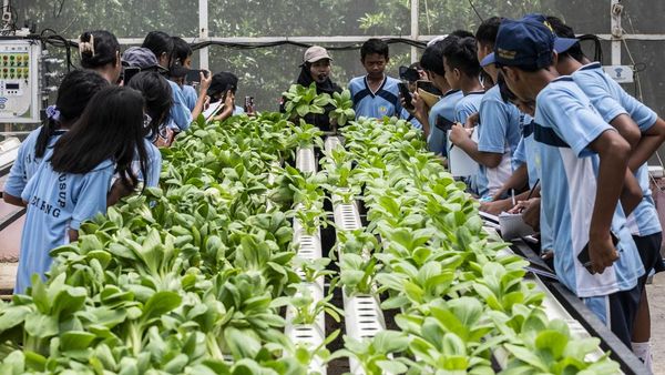 Dolan Kebun, Cara Seru Siswa Semarang Belajar Pertanian Sejak Dini