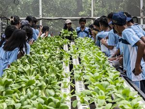 Dolan Kebun, Cara Seru Siswa Semarang Belajar Pertanian Sejak Dini