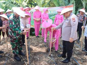 Polres Pasuruan Tanam Jagung Serentak Kuartal IV di Purwosari Polres Pasuruan Tanam Jagung Serentak Kuartal IV di Purwosari