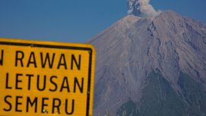 Gunung Semeru Erupsi, Semburkan Abu Vulkanik Setinggi 700 Meter