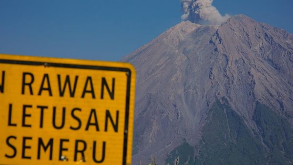 Gunung Semeru Erupsi, Semburkan Abu Vulkanik Setinggi 700 Meter