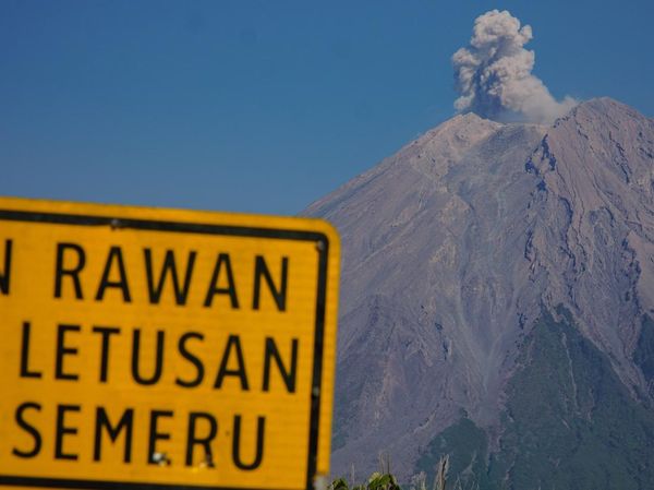 Gunung Semeru Erupsi, Semburkan Abu Vulkanik Setinggi 700 Meter