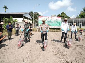 Dukung Program Ketahanan Pangan, Polda Bali Tanam Jagung di Gianyar
