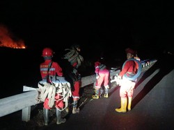 Karhutla Terjadi di KM 355 Tol Kayu Agung, Api Sudah Padam Karhutla Terjadi di KM 355 Tol Kayu Agung, Api Sudah Padam