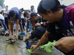Ada Tradisi Balap Kura-kura di Venezuela, Begini Momennya Ada Tradisi Balap Kura-kura di Venezuela, Begini Momennya