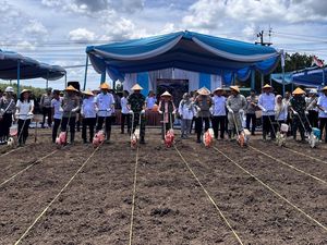 4.452 Ton Jagung dari Petani Sumsel dan Babel Diserap Bulog