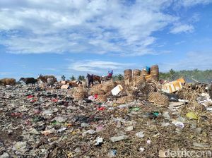 Warga Gili Trawangan Desak Pemprov NTB Anggarkan Mesin Pencacah Sampah Warga Gili Trawangan Desak Pemprov NTB Anggarkan Mesin Pencacah Sampah