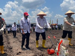 Kalsel Jadi Percontohan Daerah Pemanfaatan Lahan Tak Produktif