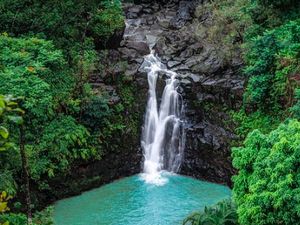 Peneliti Klaim Temukan Taman Eden di Alkitab dan Al-Quran Peneliti Klaim Temukan Taman Eden di Alkitab dan Al-Quran