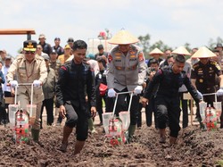 Asa Menanam Jagung di 136 Hektare Lahan Kalteng