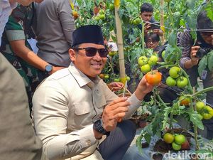 Wamentan Minta Daerah Lain Duplikasi Pertanian di Ponpes Al Ittifaq