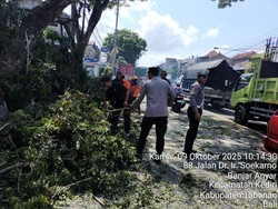 Driver Ojol Patah Tulang Tertimpa Pohon di Bypass Soekarno Tabanan Driver Ojol Patah Tulang Tertimpa Pohon di Bypass Soekarno Tabanan