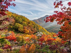 Korean Wave, Turis RI Jadi Penyumbang No 8 buat Wisata Negeri Ginseng