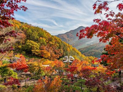 5 Hutan di Korea yang Asyik Dikunjungi saat Musim Gugur