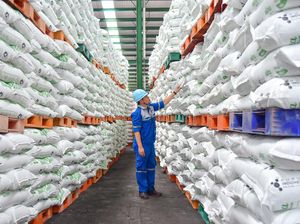 Pusri Dukung Penurunan Harga Pupuk Bersubsidi Sesuai Kebijakan Pemerintah Pusri Dukung Penurunan Harga Pupuk Bersubsidi Sesuai Kebijakan Pemerintah