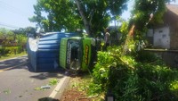 Truk Boks Hantam Pohon di Jalan Denpasar-Gilimanuk gegara Sopir Mengantuk