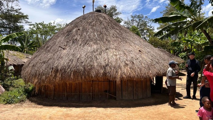 Kisah Inspiratif, Demi Sekolah, Anak-Anak Wamena Bangun Asrama Impian dengan Tangan Sendiri