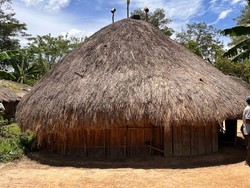 Perjuangan Siswa di Wamena: Jalan Kaki Selama Seminggu-Bangun Asrama Honai Sendiri