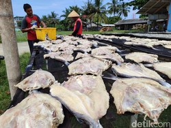 Bos Jambal di Pangandaran Mulai Siaga Hadapi Liburan Akhir Tahun Bos Jambal di Pangandaran Mulai Siaga Hadapi Liburan Akhir Tahun