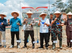 Dukung Ketahanan Pangan, Pemkab Wonosobo Tanam Jagung Serentak