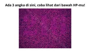 5 Teka-teki Ini Bikin Pusing! Cuma Si Mata Elang yang Bisa Temukan Jawabannya