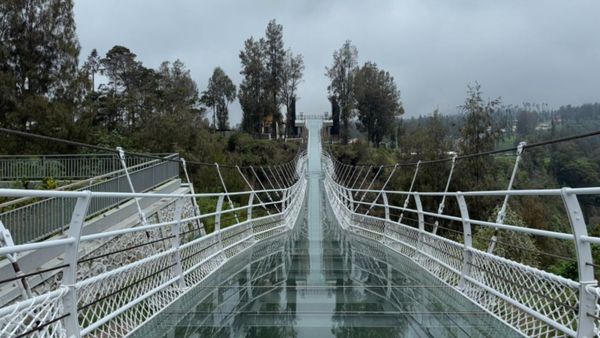 Jembatan Kaca Bromo Akhirnya Siap Dibuka!