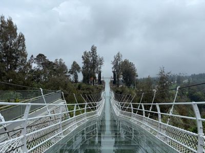 Jembatan Kaca Bromo Akhirnya Siap Dibuka!