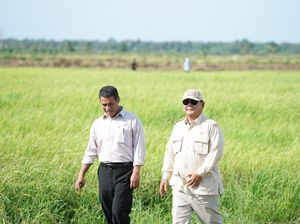 Survei Litbang Kompas: 71,5% Publik Puas dengan Kinerja Kementan Survei Litbang Kompas: 71,5% Publik Puas dengan Kinerja Kementan