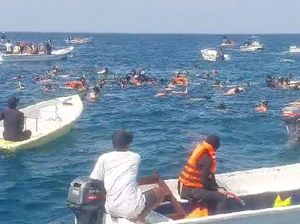 Video: Berenang Bareng Ikan Pari Manta di TN Komodo Video: Berenang Bareng Ikan Pari Manta di TN Komodo
