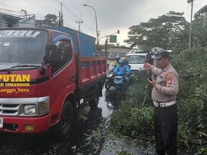 Hujan Deras Bikin Pohon Tumbang di Depok, Lalin Sempat Tersendat