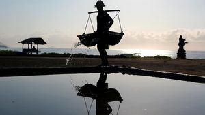 Puncak Musim Panen, Petani Bali Gencar Produksi Garam Tradisional