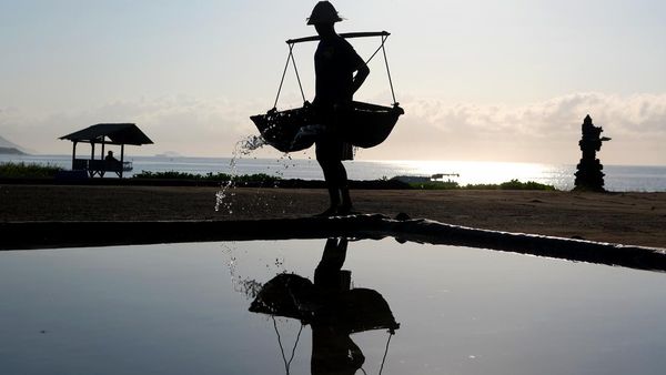 Puncak Musim Panen, Petani Bali Gencar Produksi Garam Tradisional