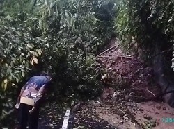 Jalur Cianjur-Sindangbarang Terputus Akibat Longsor