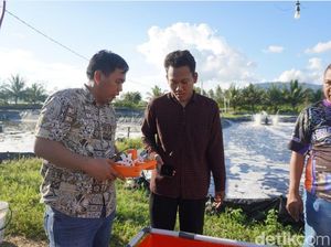 Dosen Itera Ciptakan Tambak Udang Cerdas Berbasis IoT, Dipantau Lewat HP Dosen Itera Ciptakan Tambak Udang Cerdas Berbasis IoT, Dipantau Lewat HP