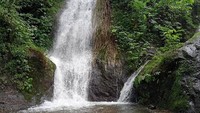 Menikmati Sejuk Air Terjun Roro Kuning, Permata Alam di Lereng Gunung Wilis