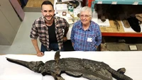 Kerangka Dinosaurus Pedang Naga Ditemukan di Pantai Jurassic