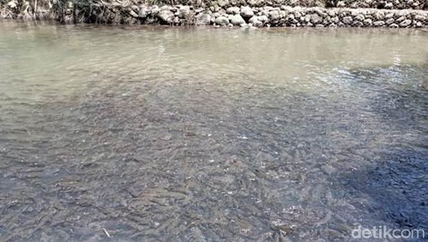 Kearifan Lokal Dan Cerita Mistis Di Balik Makam Inyiak Tambo, Pasaman Barat