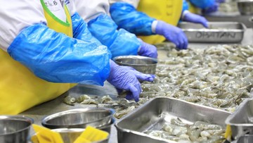 KKP Pastikan Biaya Sertifikasi Mutu Perikanan Gratis