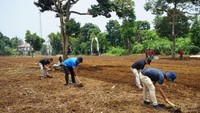 Menumbuhkan Kemandirian Napi Lapas Purwakarta Lewat Pertanian