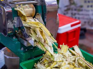 Ngeri! Tangan Penjual Minuman Ini Nyangkut di Mesin Pemeras Tebu