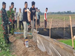Petani Grobogan Tewas Kesetrum Jebakan Tikus di Sawahnya Sendiri Petani Grobogan Tewas Kesetrum Jebakan Tikus di Sawahnya Sendiri