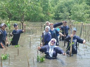 Paragonian Bergerak 2025 Tanam 3.500 Mangrove di Desa Tanjung Burung Paragonian Bergerak 2025 Tanam 3.500 Mangrove di Desa Tanjung Burung