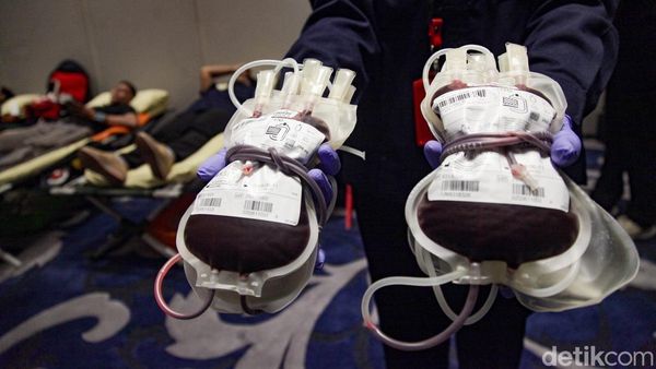 Ramai-ramai Donor Demi Penuhi Stok Kantong Darah