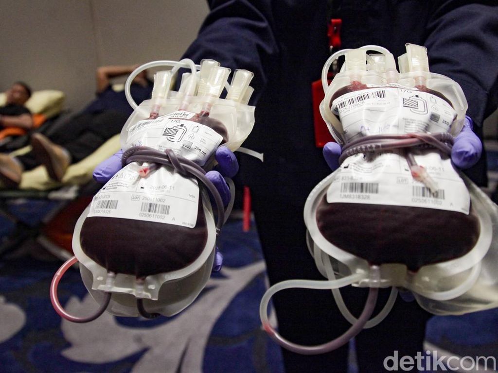 Ramai-ramai Donor Demi Penuhi Stok Kantong Darah Ramai-ramai Donor Demi Penuhi Stok Kantong Darah