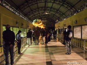 Total 3.635 Warga Kunjungi Wisata Malam Ragunan Hari Ini Total 3.635 Warga Kunjungi Wisata Malam Ragunan Hari Ini